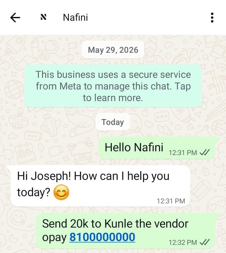 Send money on Nafini WhatsApp